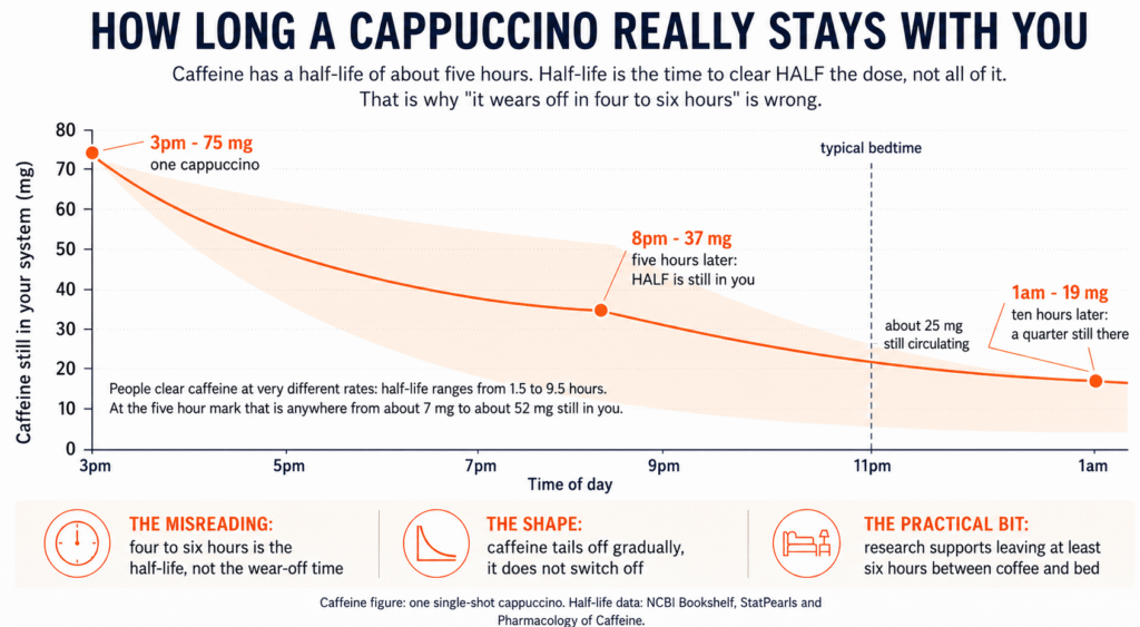Chart showing caffeine from one 75 mg cappuccino declining over ten hours. 75 mg at 3pm, 37 mg at 8pm when half is still in the system, about 25 mg at an 11pm bedtime, and 19 mg by 1am. A shaded band shows that half-life varies from 1.5 to 9.5 hours between people.
